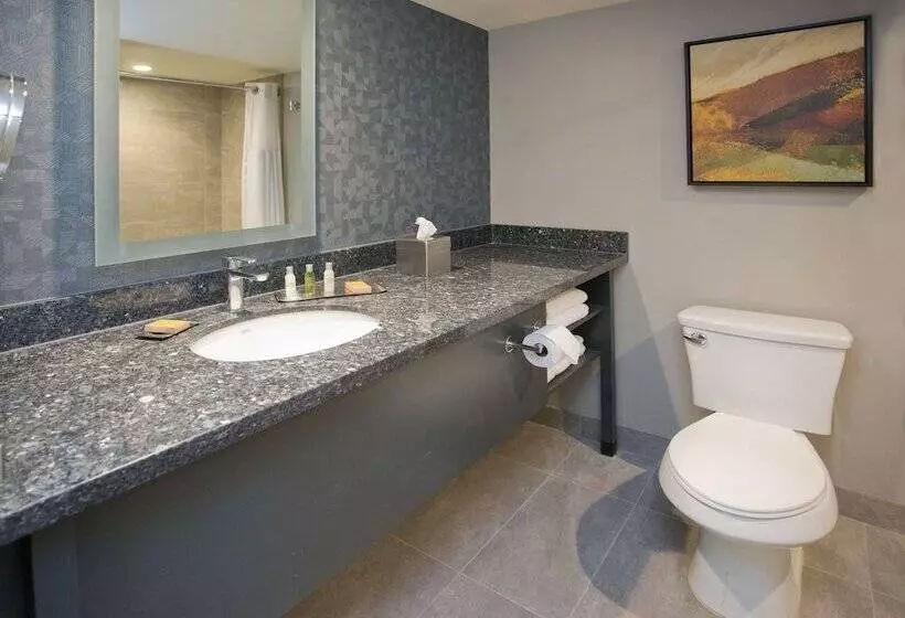 اتاق استاندارد با 2 تخت دوبل, Doubletree By Hilton Chico