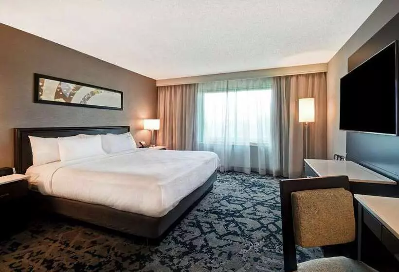 سوئیت با تخت بزرگ, Doubletree By Hilton Chico