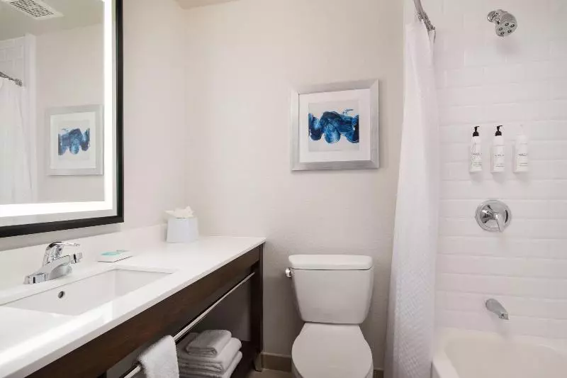 景色の見えるデラックスルーム, Four Points By Sheraton Tucson Airport