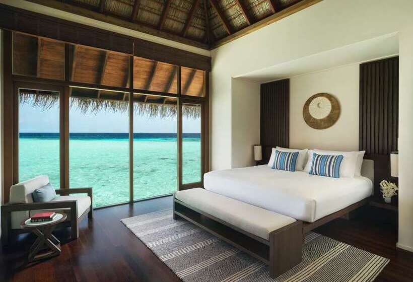 带大床的标准间, Hilton Cabana Miami Beach Resort