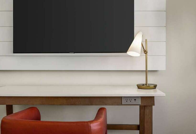 带大床的标准间, Hilton Cabana Miami Beach Resort