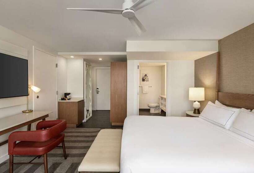 带大床的标准间, Hilton Cabana Miami Beach Resort