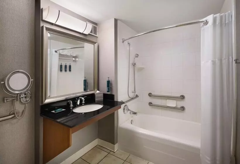 اتاق استاندارد با تخت دوبل برای معلولان, Hilton San Francisco Financial District