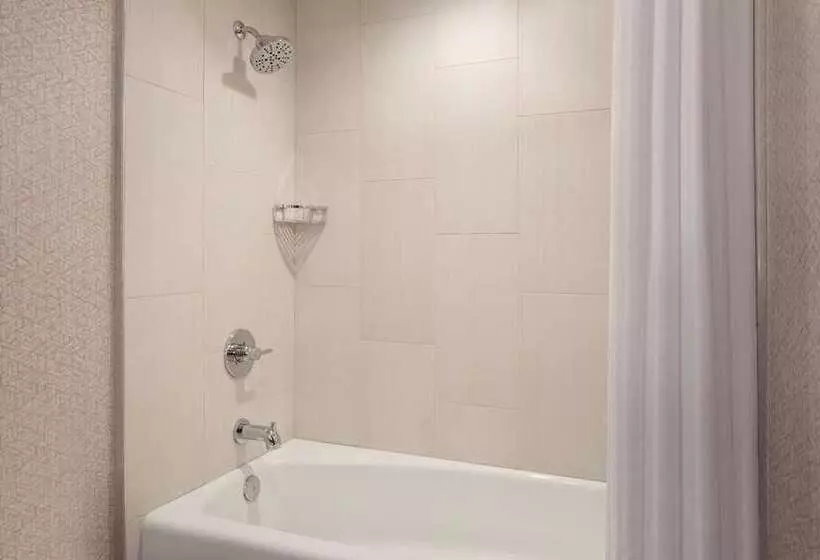 اتاق استاندارد با تخت بزرگ, Hilton San Francisco Financial District