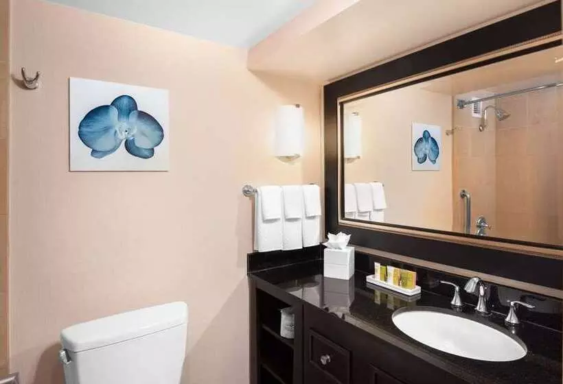 اتاق استاندارد با تخت بزرگ, Hilton San Francisco Financial District