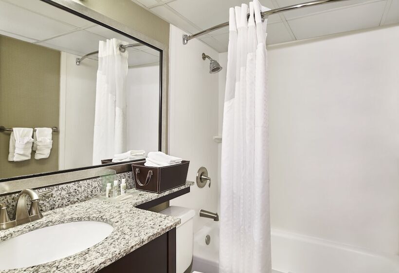 חדר סטנדרט, Holiday Inn Alexandria At Carlyle, An Ihg