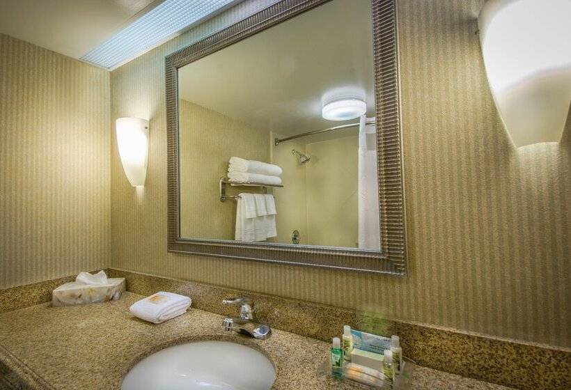 스탠다드 룸, Holiday Inn Arlington At Ballston, An Ihg