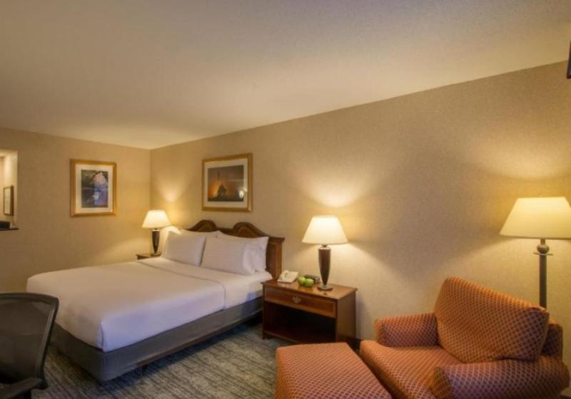 장애인을 위한 킹사이즈 침대 스탠다드 룸, Holiday Inn Arlington At Ballston, An Ihg