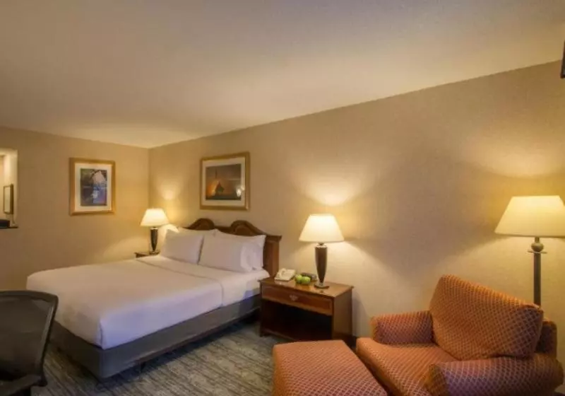 身障者適用キングサイズベッドルーム, Holiday Inn Arlington At Ballston, An Ihg