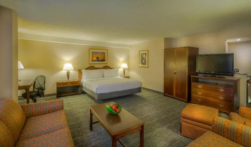 キングサイズベッドのエクゼクティブルーム, Holiday Inn Arlington At Ballston, An Ihg