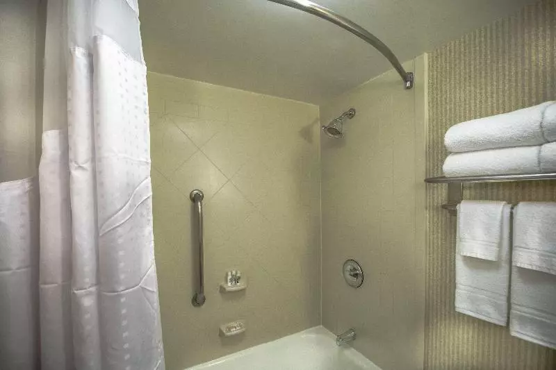 キングサイズベッドのスイートルーム, Holiday Inn Arlington At Ballston, An Ihg