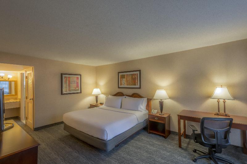 스위트 킹사이즈 침대, Holiday Inn Arlington At Ballston, An Ihg