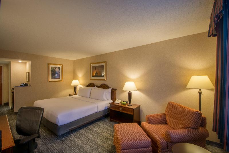 장애인을 위한 킹사이즈 침대 스탠다드 룸, Holiday Inn Arlington At Ballston, An Ihg