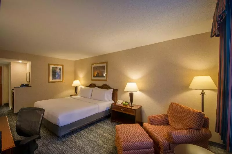 身障者適用キングサイズベッドルーム, Holiday Inn Arlington At Ballston, An Ihg