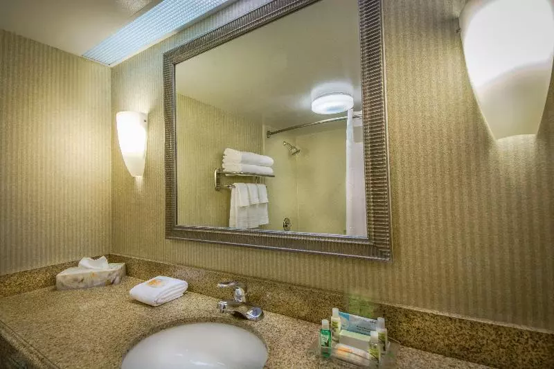 身障者適用キングサイズベッドルーム, Holiday Inn Arlington At Ballston, An Ihg