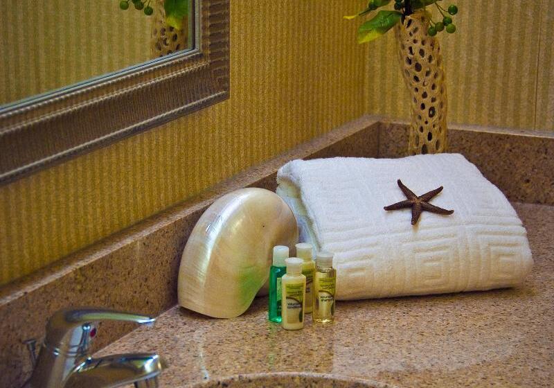 장애인을 위한 스탠다드 룸, Holiday Inn Arlington At Ballston, An Ihg