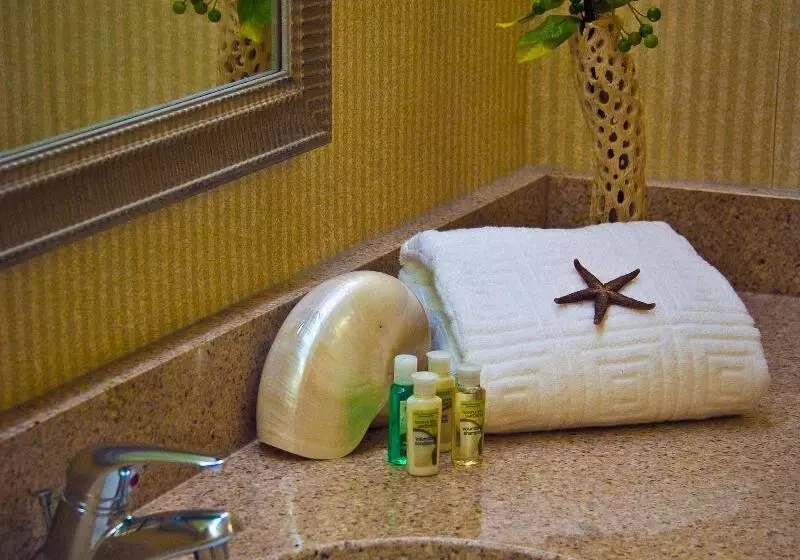 身障者適用スタンダードルーム, Holiday Inn Arlington At Ballston, An Ihg