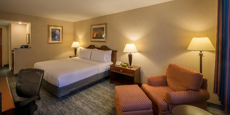 스탠다드 룸 킹사이즈 침대, Holiday Inn Arlington At Ballston, An Ihg