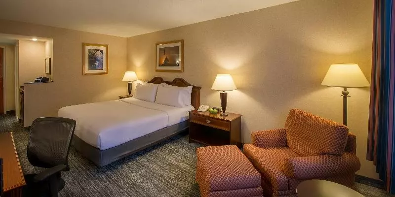 キングサイズベッドのスタンダードルーム, Holiday Inn Arlington At Ballston, An Ihg