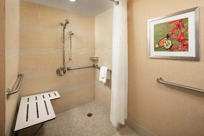 اتاق استاندارد برای معلولان, Holiday Inn Austin  Town Lake, An Ihg