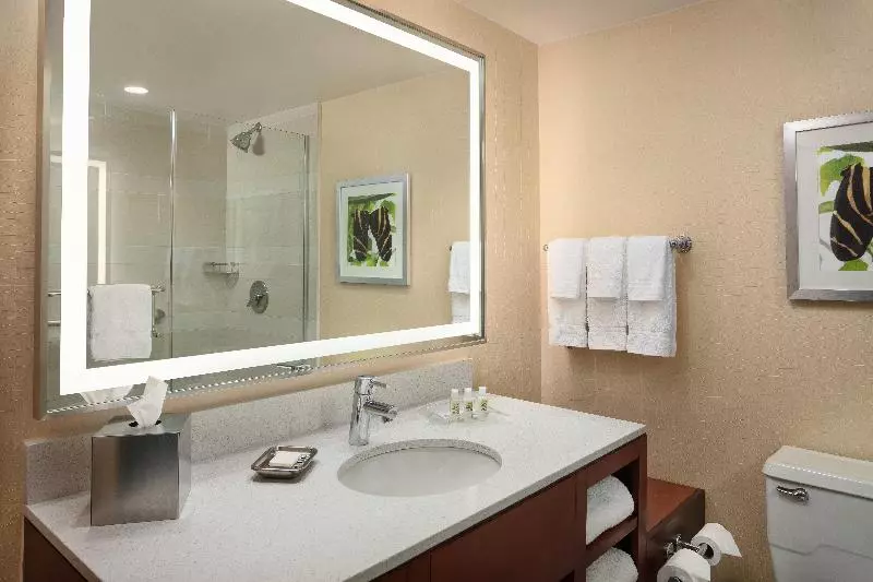 اتاق استاندارد, Holiday Inn Austin  Town Lake, An Ihg