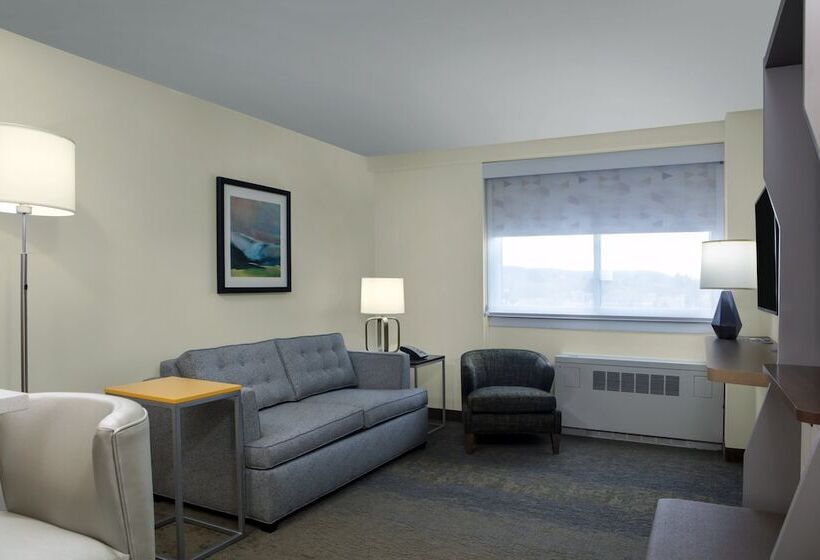 Люкс, Holiday Inn Binghamton Downtown Hawley Street, An Ihg