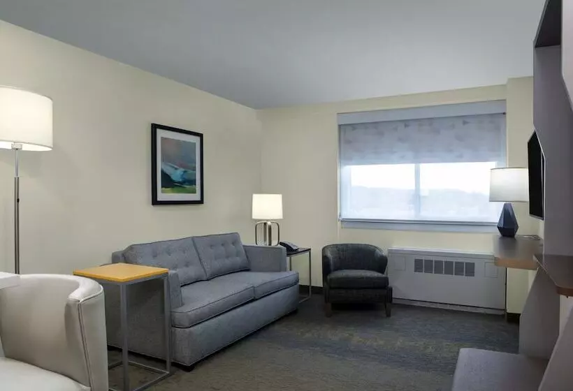 スイート, Holiday Inn Binghamton Downtown Hawley Street, An Ihg
