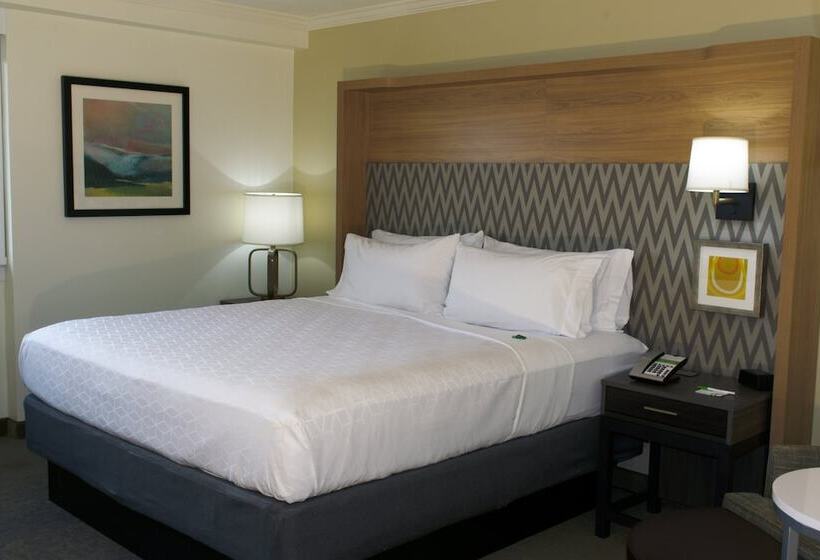 スイート, Holiday Inn Binghamton Downtown Hawley Street, An Ihg