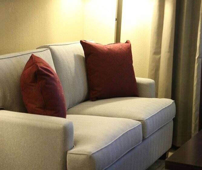 חדר סטנדרט, Holiday Inn Charlotte Airport, An Ihg