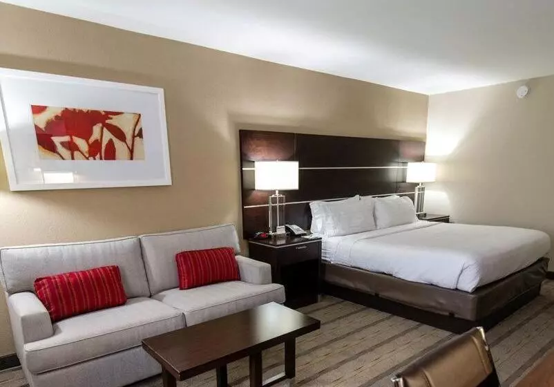 Standard-huone King-vuode, Holiday Inn Charlotte Airport, An Ihg