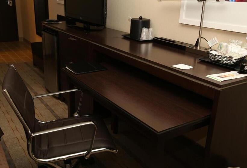 חדר סטנדרט עם מיטת קינג, Holiday Inn Charlotte Airport, An Ihg