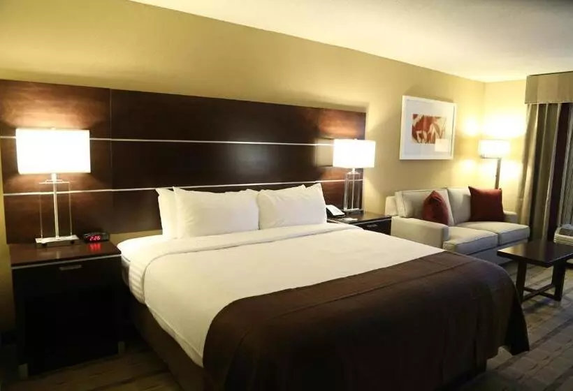 Sviitti King-vuode, Holiday Inn Charlotte Airport, An Ihg