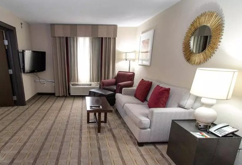 Sviitti King-vuode, Holiday Inn Charlotte Airport, An Ihg