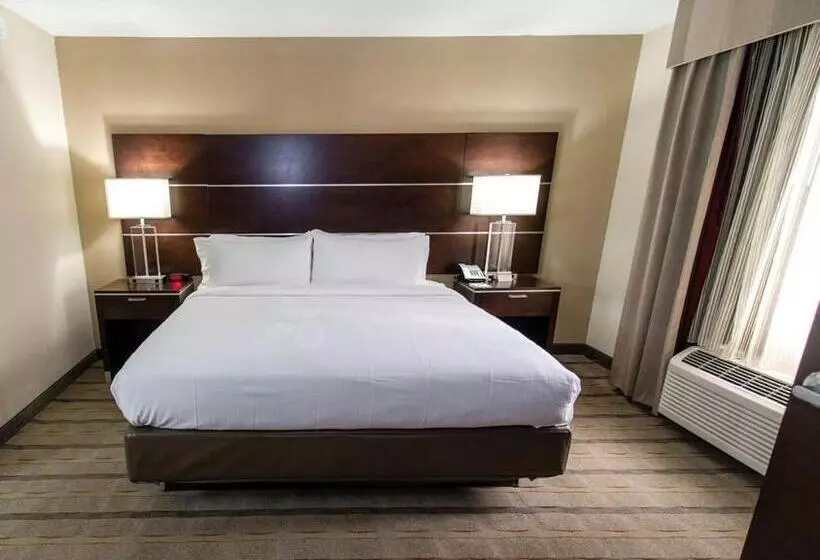 Sviitti King-vuode, Holiday Inn Charlotte Airport, An Ihg