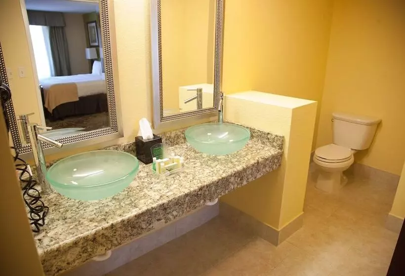 スイート, Holiday Inn Chicago North   Gurnee, An Ihg