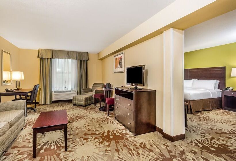 스위트, Holiday Inn Chicago North   Gurnee, An Ihg