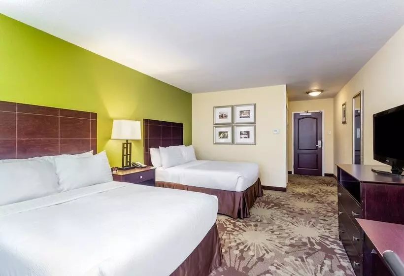 ２ダブルベッドのスタンダードルーム, Holiday Inn Chicago North   Gurnee, An Ihg