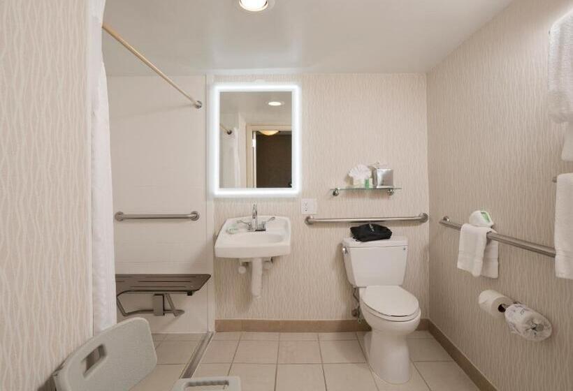 Номер Стандарт Кровать Кинг Адаптированный для Инвалидов, Holiday Inn Washington Central/white House, An Ihg