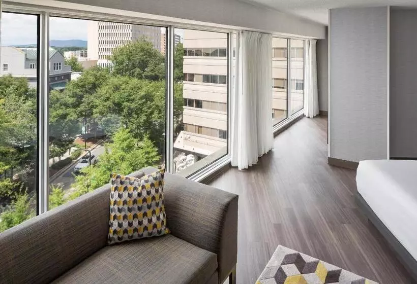 Standard-huone King-vuode, Hyatt Regency Greenville