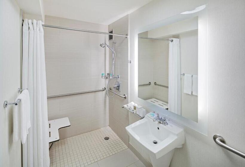 장애인을 위한 킹사이즈 침대 스탠다드 룸, Hyatt Regency Greenville