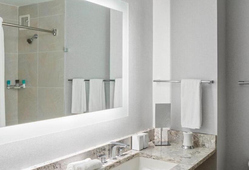 חדר סטנדרט, מיטת קינג, מותאם לאדם עם מוגבלויות, Hyatt Regency Greenville