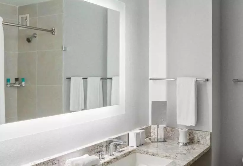 Standard-invahuone King-vuode, Hyatt Regency Greenville