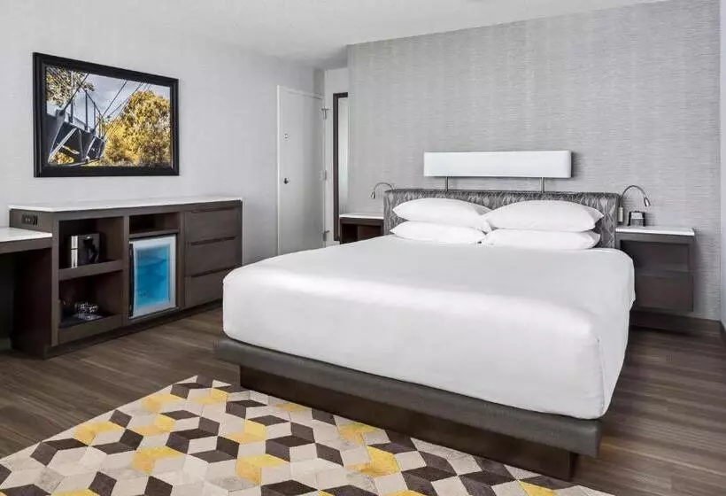 Standard-huone King-vuode, Hyatt Regency Greenville
