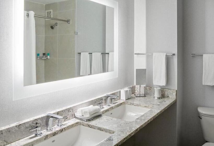 סוויטה, Hyatt Regency Greenville