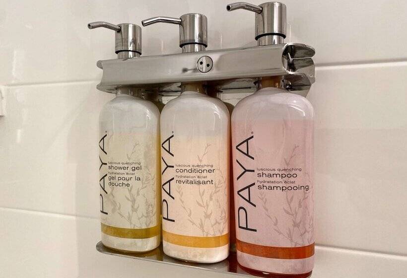 חדר סטנדרט שתי מיטות זוגיות, The Hub Middletown Red Bank  Best Western Signature Collection