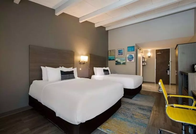 ２ダブルベッドのスタンダードルーム, The Hub Middletown Red Bank  Best Western Signature Collection