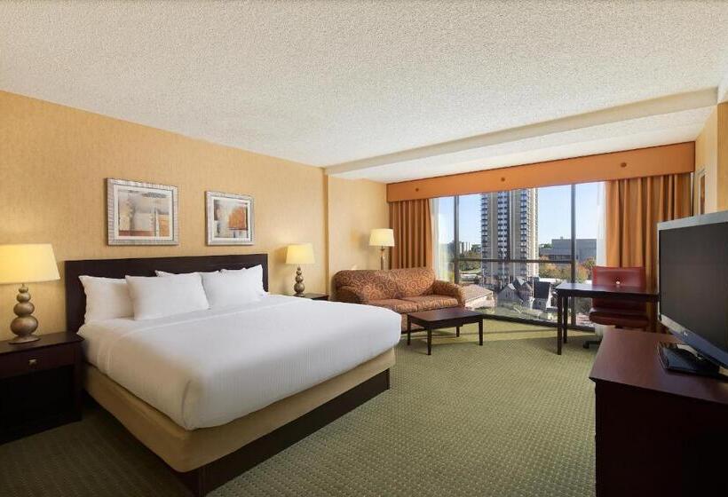 带大床的豪华间, University Plaza