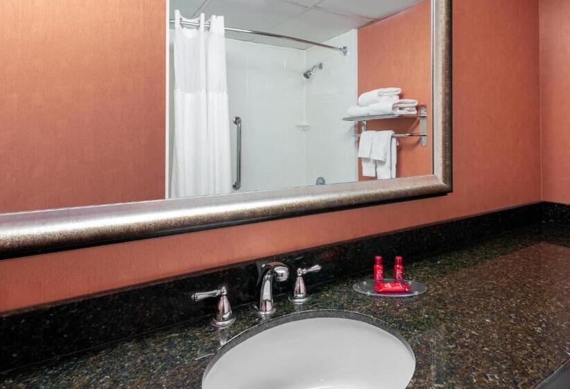 اتاق لوکس با تخت بزرگ, University Plaza