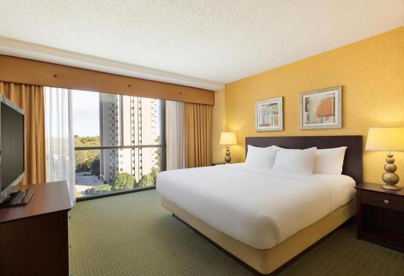 行政套房, University Plaza