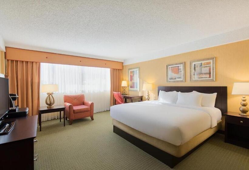 行政套房, University Plaza